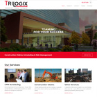 TriLogix Consulting LLC.